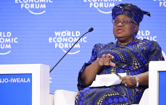 WTO Chief Urges India’s Support on Investment Facilitation Amid Global Trade Disruptions